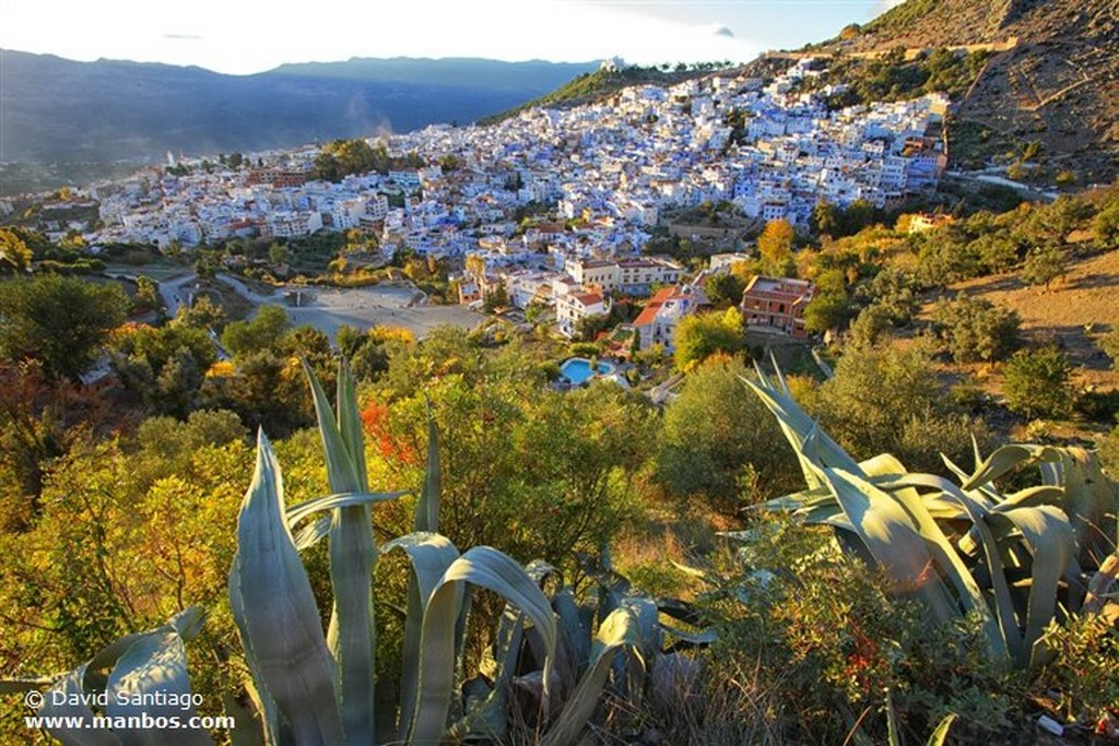 Chaouen
Chaouen
Chaouen