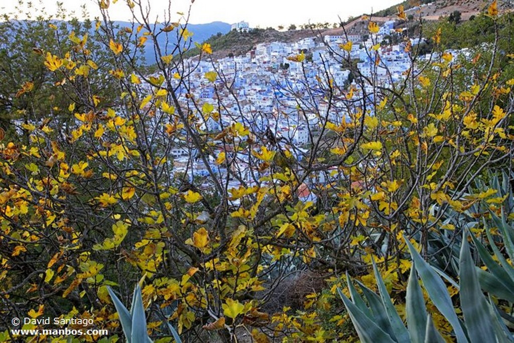 Chaouen
Chaouen
Chaouen