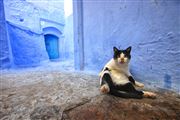 Chaouen, Chaouen, Marruecos