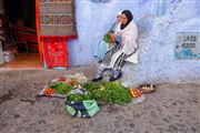 Camara Canon EOS 5D Mark II
Chaouen
Chaouen
CHAOUEN
Foto: 31902