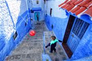 Camara Canon EOS 5D Mark II
Chaouen
Chaouen
CHAOUEN
Foto: 31899