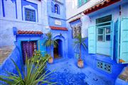 Camara Canon EOS 5D Mark II
Chaouen
Chaouen
CHAOUEN
Foto: 31889