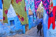 Camara Canon EOS 5D Mark II
Chaouen
Chaouen
CHAOUEN
Foto: 31887