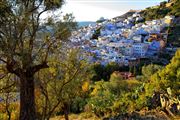 Camara Canon EOS 5D Mark II
Chaouen
Chaouen
CHAOUEN
Foto: 31831