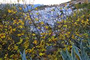 Chaouen, Chaouen, Marruecos