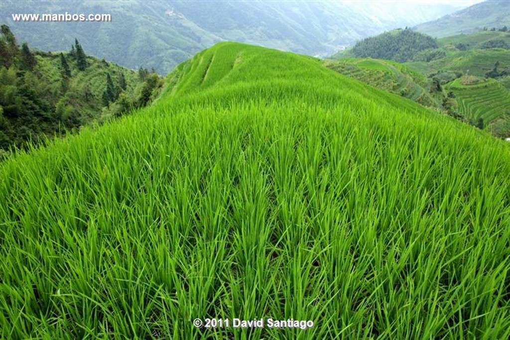 Guangxi
Treking From Ping´ain To Guangxi China
Guangxi