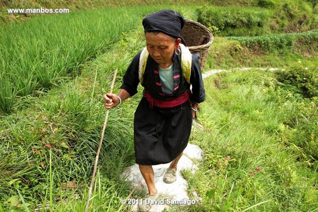 Guangxi
Rice Field La Columna del Dragon  guangxi  ping´an China
Guangxi