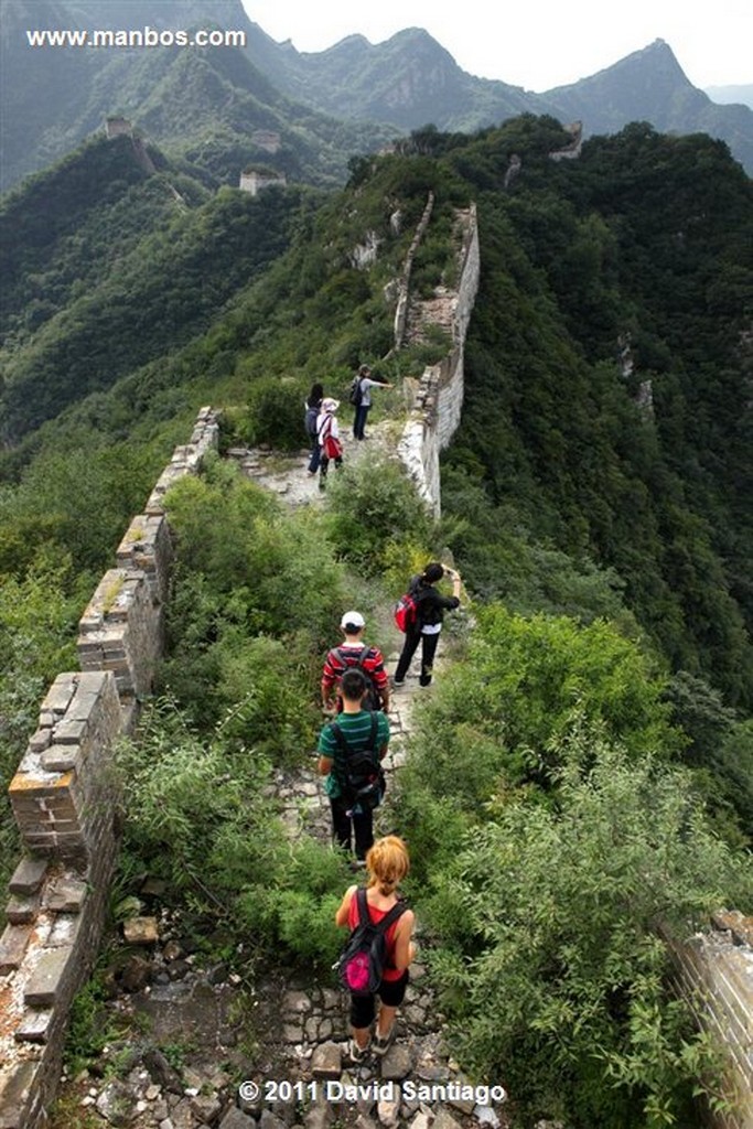 La Gran Muralla
Great Wall At Mutianyu  beijing  china
Beijing