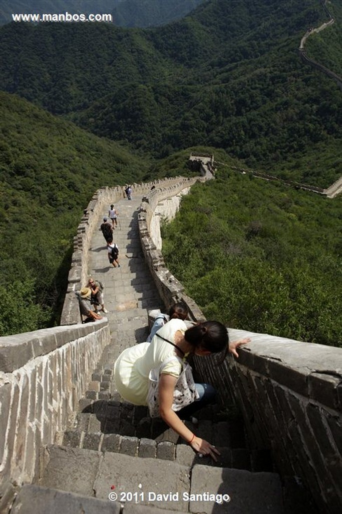 La Gran Muralla
Great Wall At Mutianyu  beijing  china
Beijing