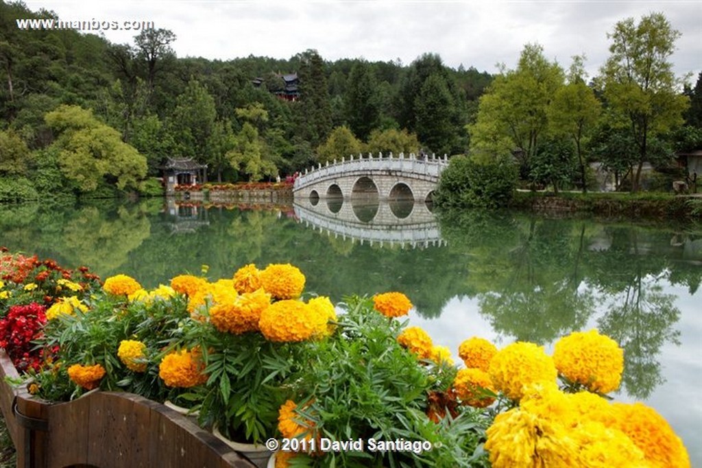 Lijang
Pagoda - black Dragon Pool - lijang - yunnan - china
Shangri La