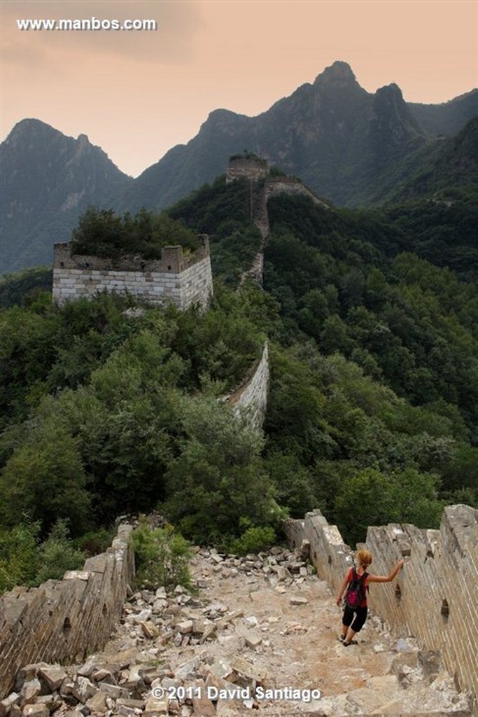 La Gran Muralla
Great Wall At Mutianyu  beijing  china
Beijing