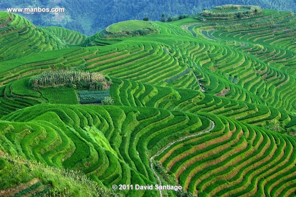 Guangxi
Zhong Liu  treking From Ping´ain To Guangxi China
Guangxi