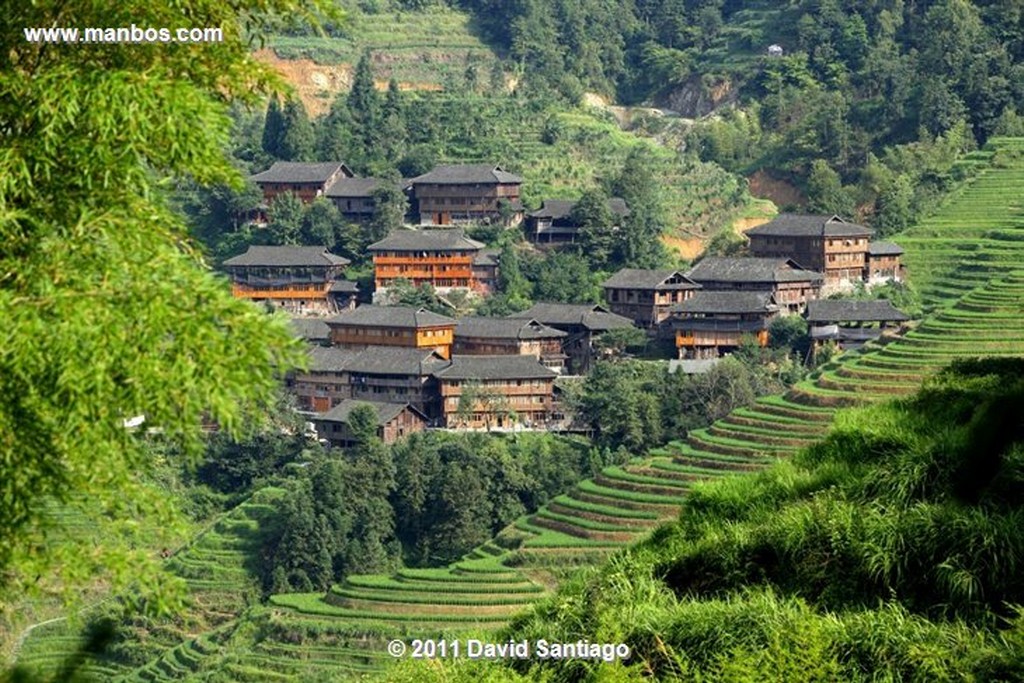 Guangxi
Rice Field La Columna del Dragon  guangxi  ping´an China
Guangxi