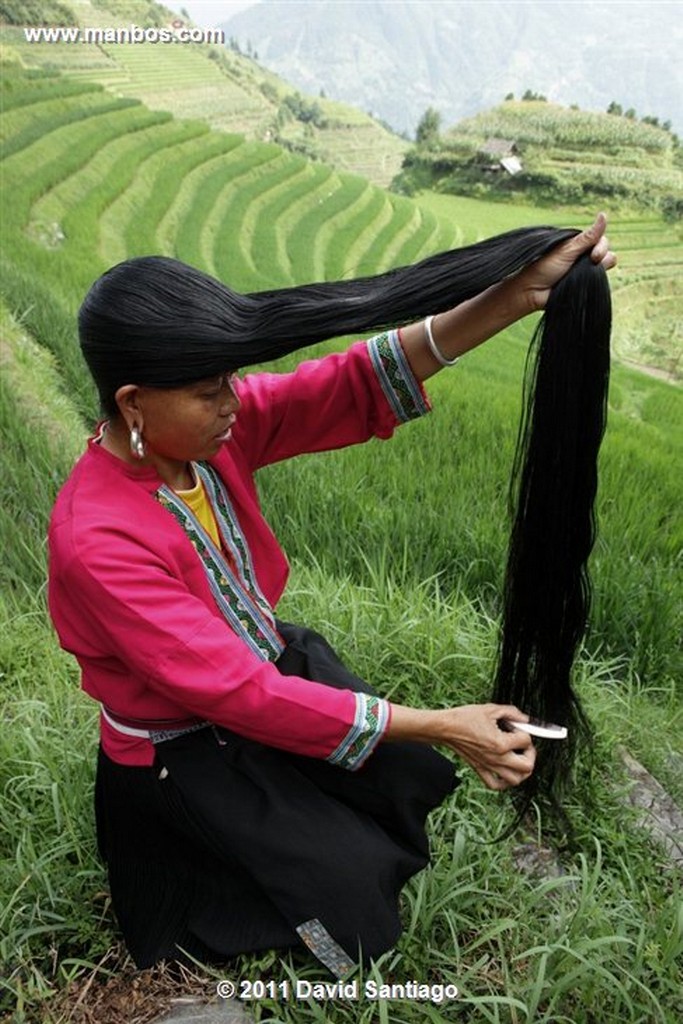 Guangxi
Rice Field La Columna del Dragon  guangxi  ping´an China
Guangxi