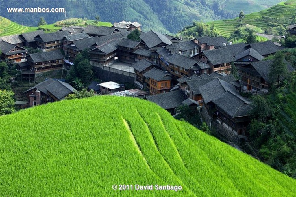 Guangxi
Rice Field La Columna del Dragon  guangxi  ping´an China
Guangxi