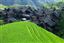 Guangxi
Rice Field La Columna del Dragon  guangxi  ping´an China
Guangxi