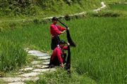 Guangxi, Guangxi, China