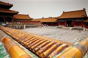 Camara Canon EOS 5D Mark II
China - beijing - forbidden City China
El Gran Sur de China
BEIJING
Foto: 27944