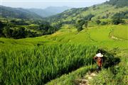 Camara Canon EOS 5D Mark II
Terraced Fields In Yuanyang China
El Gran Sur de China
YUANYANG
Foto: 27922