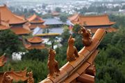 Camara Canon EOS 5D Mark II
Dali   the Three Pagoda  china
El Gran Sur de China
DALI
Foto: 27919