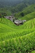 Camara Canon EOS 5D Mark II
Zhong Liu  treking From Ping´ain To Guangxi China
El Gran Sur de China
GUANGXI
Foto: 27894