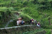 Camara Canon EOS 5D Mark II
Treking From Ping´ain To Guangxi China
El Gran Sur de China
GUANGXI
Foto: 27881