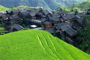 Camara Canon EOS 5D Mark II
Rice Field La Columna del Dragon  guangxi  ping´an China
El Gran Sur de China
GUANGXI
Foto: 27838