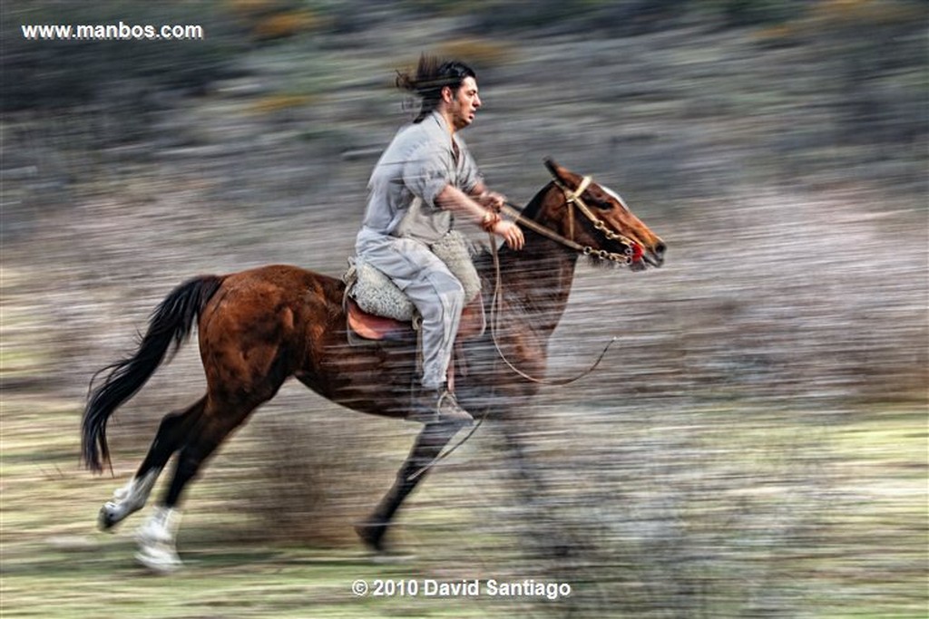 Cordoba
Caballo en La Cumbre 
Cordoba 