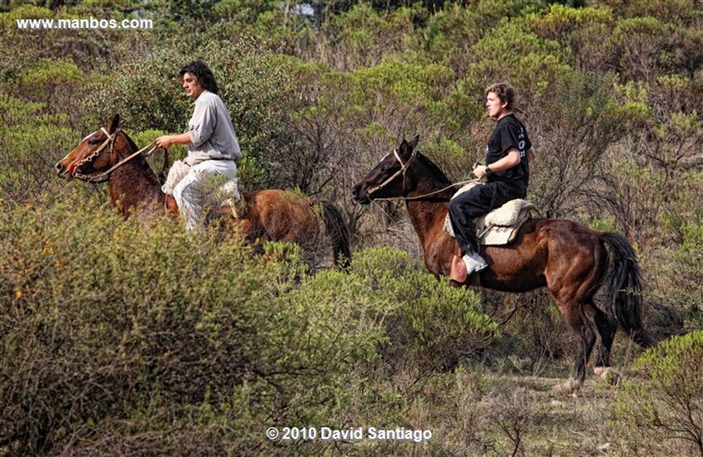 Cordoba
Caballo en La Cumbre 
Cordoba 