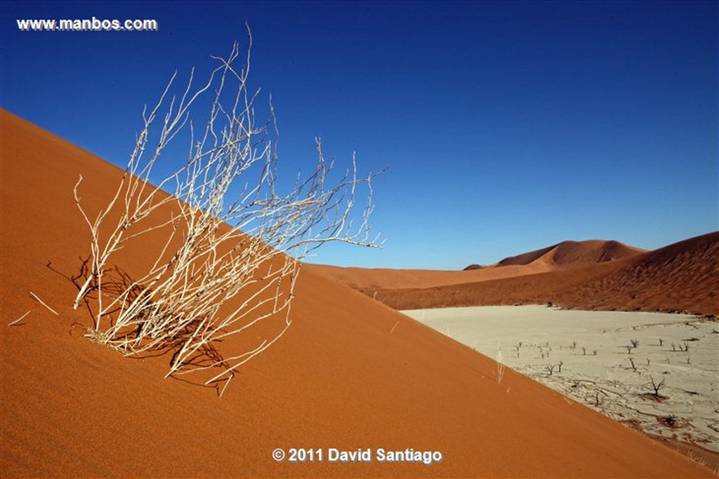 Namibia
Namibia Parque Nacional Desierto de Namibia 
Namibia