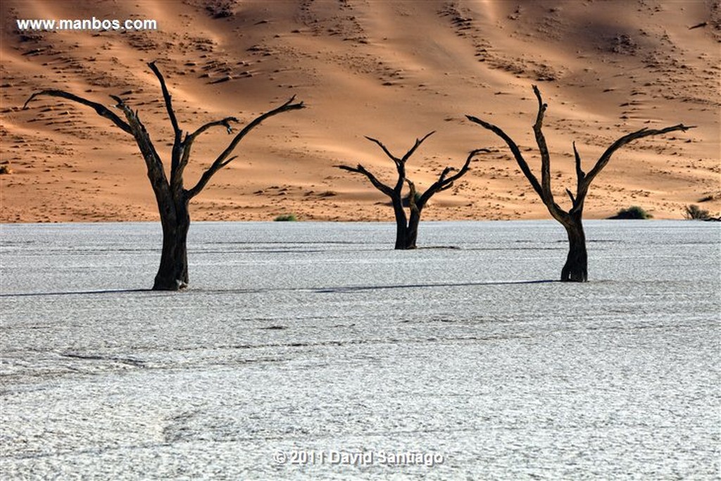 Namibia
Namibia Parque Nacional Desierto de Namibia 
Namibia