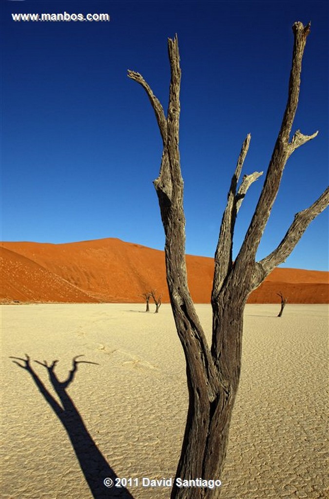 Namibia
Namibia Parque Nacional Desierto de Namibia 
Namibia