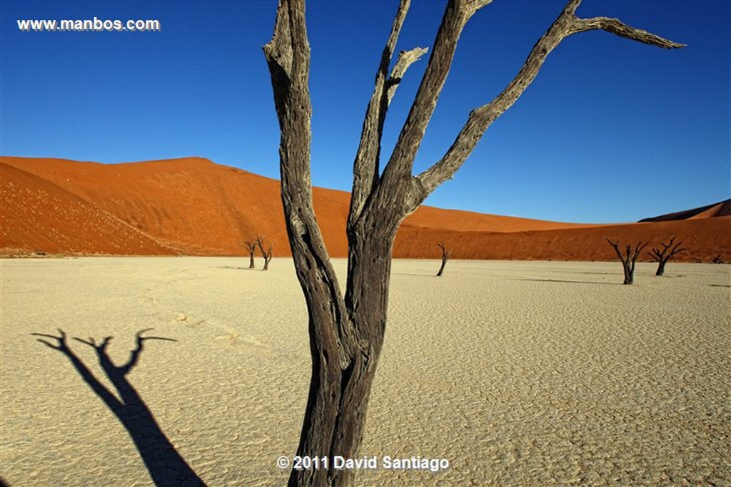 Namibia
Namibia Parque Nacional Desierto de Namibia 
Namibia