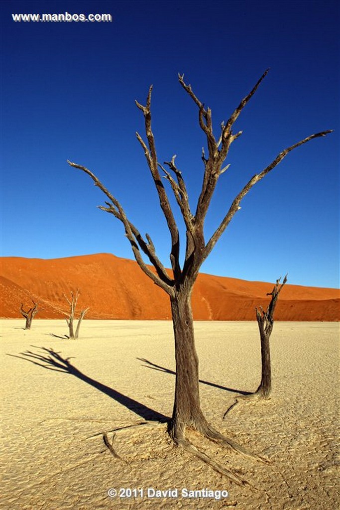 Namibia
Namibia Parque Nacional Desierto de Namibia 
Namibia