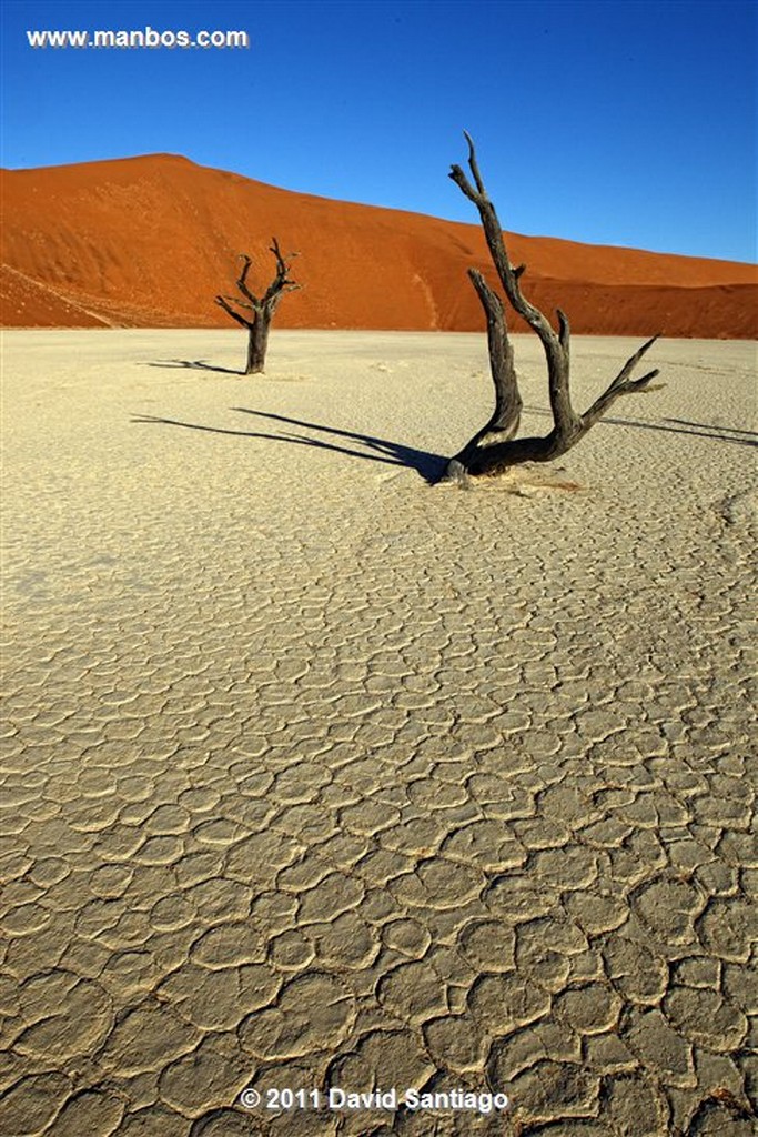 Namibia
Namibia Parque Nacional Desierto de Namibia 
Namibia