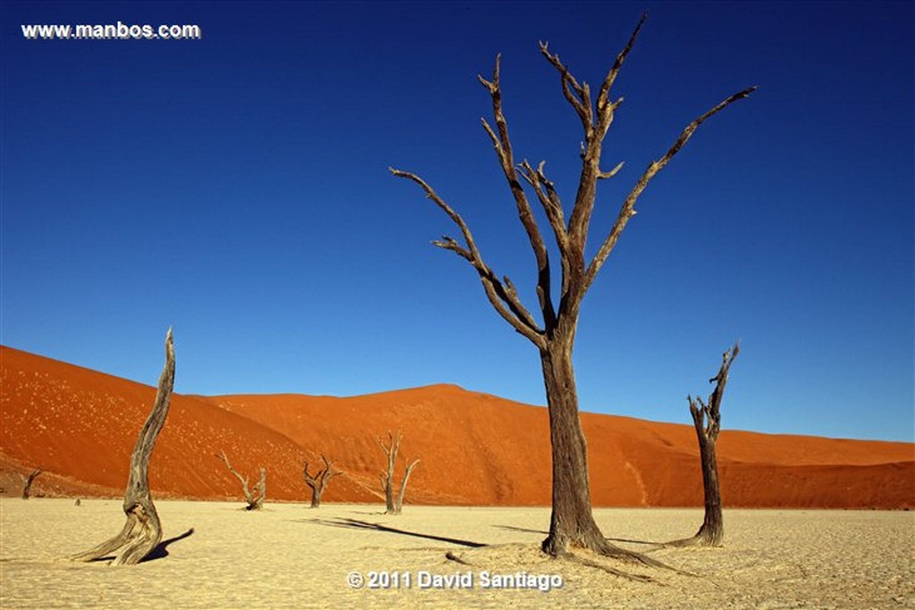 Namibia
Namibia Parque Nacional Desierto de Namibia 
Namibia