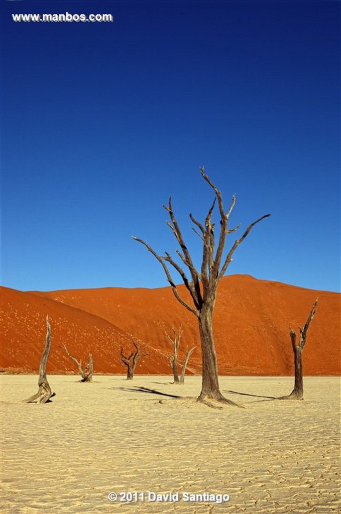 Namibia
Namibia Parque Nacional Desierto de Namibia 
Namibia