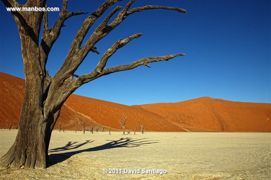 Namibia
Namibia Parque Nacional Desierto de Namibia 
Namibia