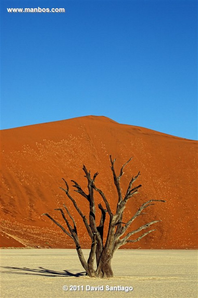 Namibia
Namibia Parque Nacional Desierto de Namibia 
Namibia