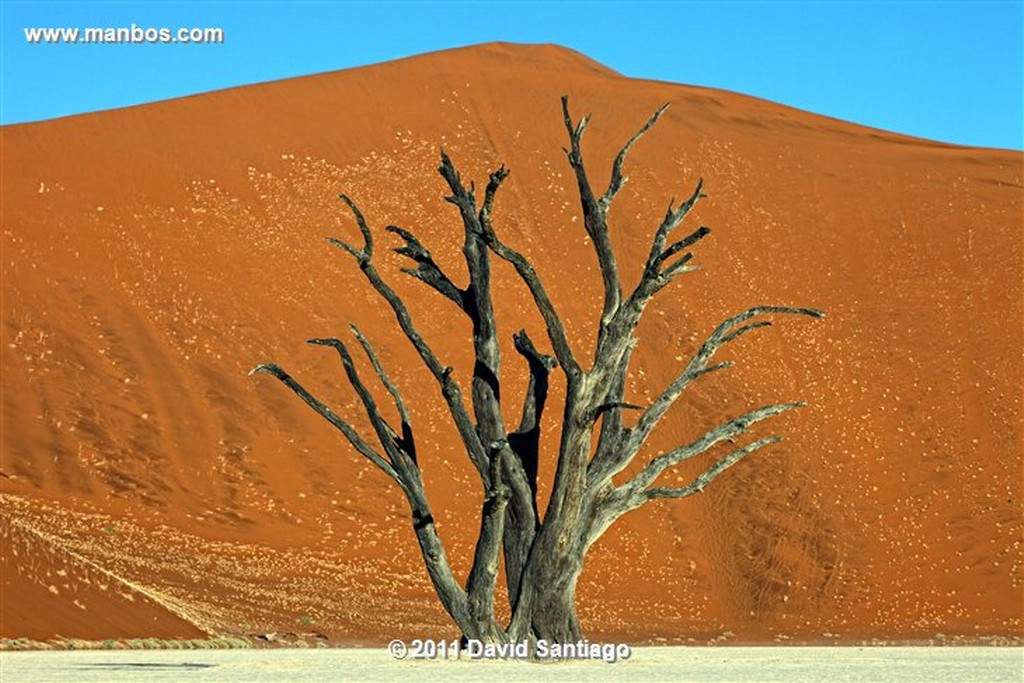 Namibia
Namibia Parque Nacional Desierto de Namibia 
Namibia