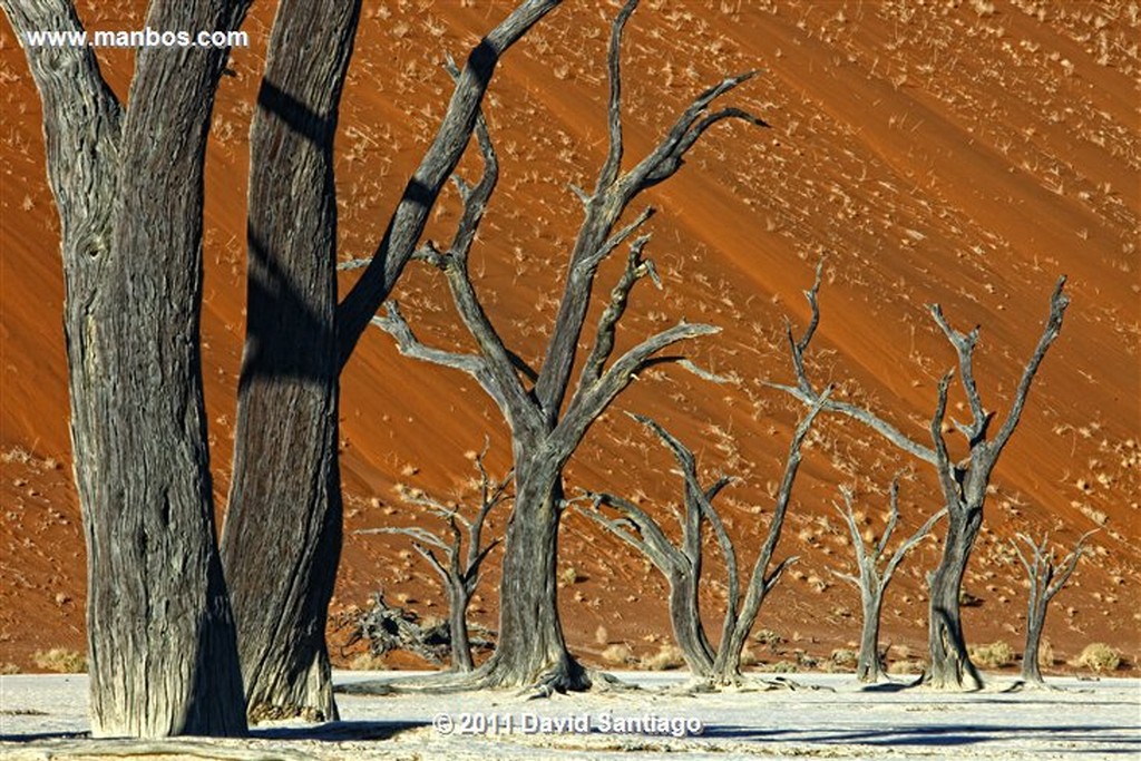 Namibia
Namibia Parque Nacional Desierto de Namibia 
Namibia