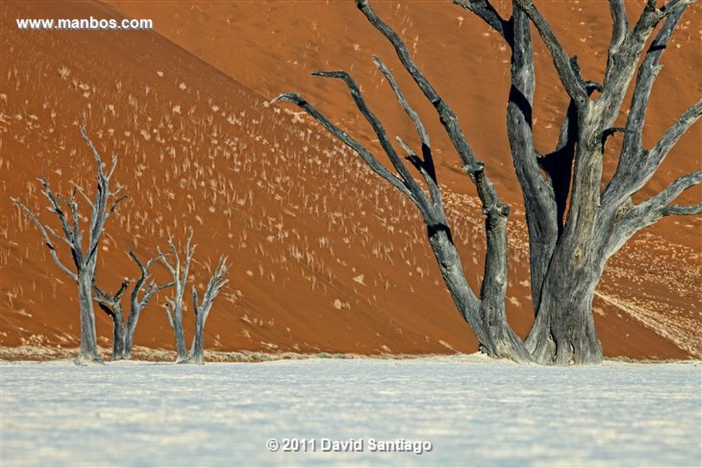 Namibia
Namibia Parque Nacional Desierto de Namibia 
Namibia