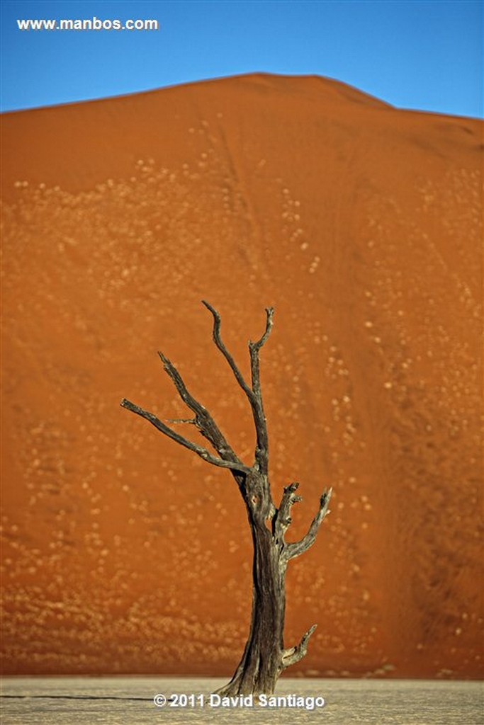 Namibia
Namibia Parque Nacional Desierto de Namibia 
Namibia