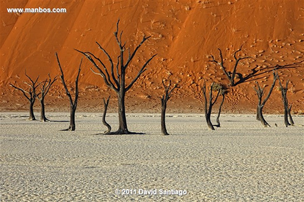 Namibia
Namibia Parque Nacional Desierto de Namibia 
Namibia