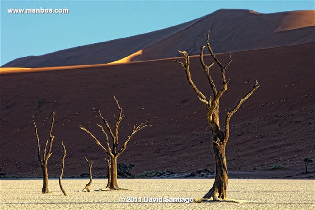 Namibia
Namibia Parque Nacional Desierto de Namibia 
Namibia