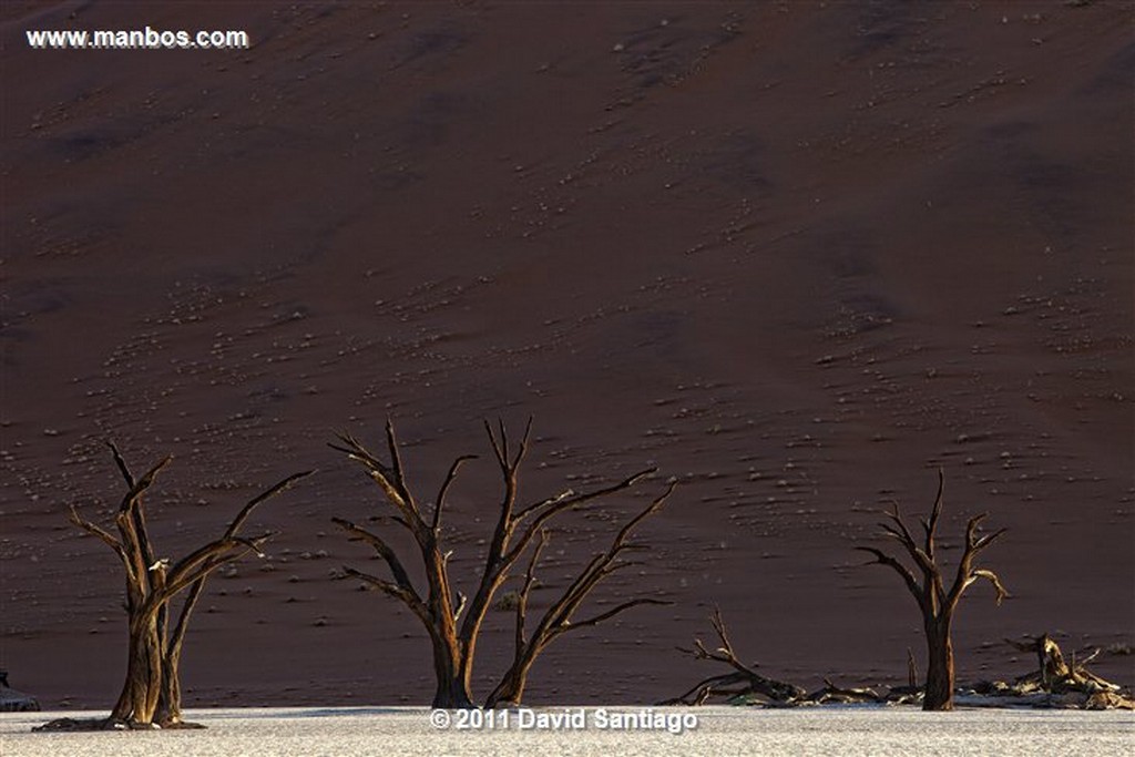 Namibia
Namibia Parque Nacional Desierto de Namibia 
Namibia