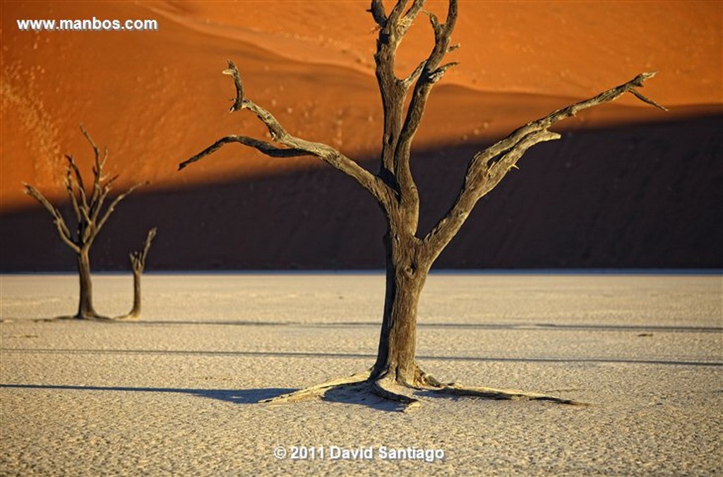 Namibia
Namibia Parque Nacional Desierto de Namibia 
Namibia