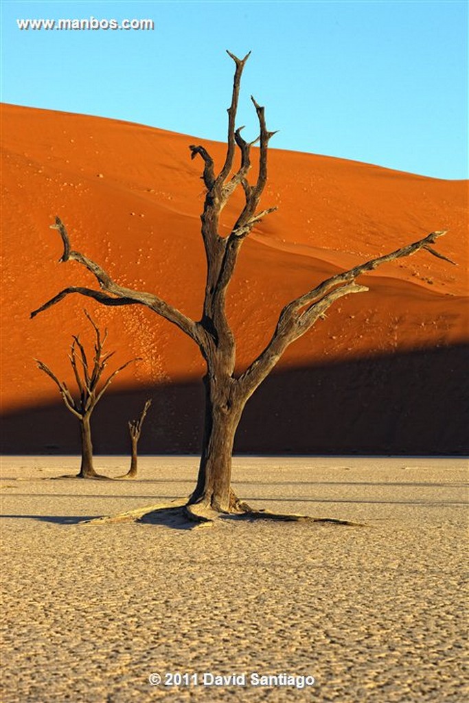 Namibia
Namibia Parque Nacional Desierto de Namibia 
Namibia