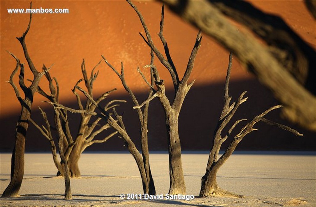 Namibia
Namibia Parque Nacional Desierto de Namibia 
Namibia