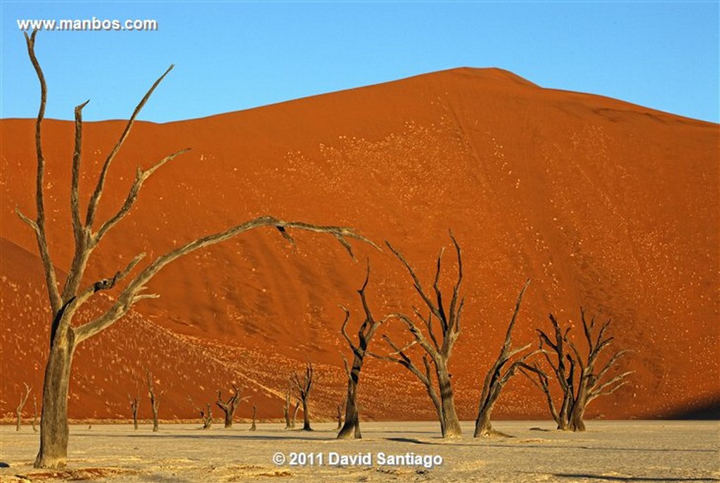 Namibia
Namibia Parque Nacional Desierto de Namibia 
Namibia